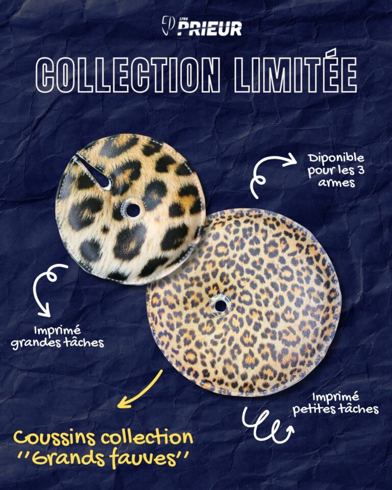 Collection coussins limitée ''Grands Fauves''